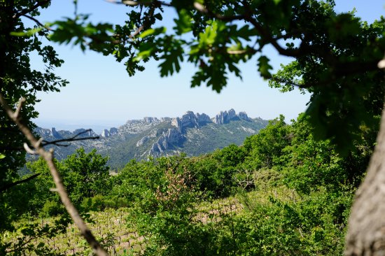 Dentelles de Montmirail