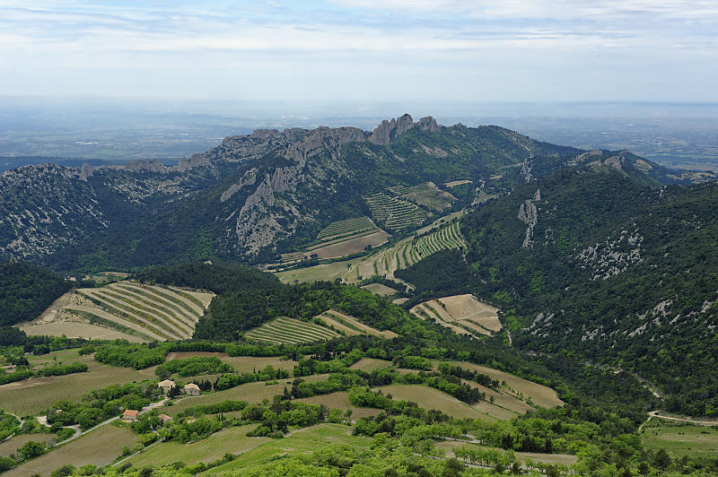 Dentelles de Montmirail Dentelles de Montmirail