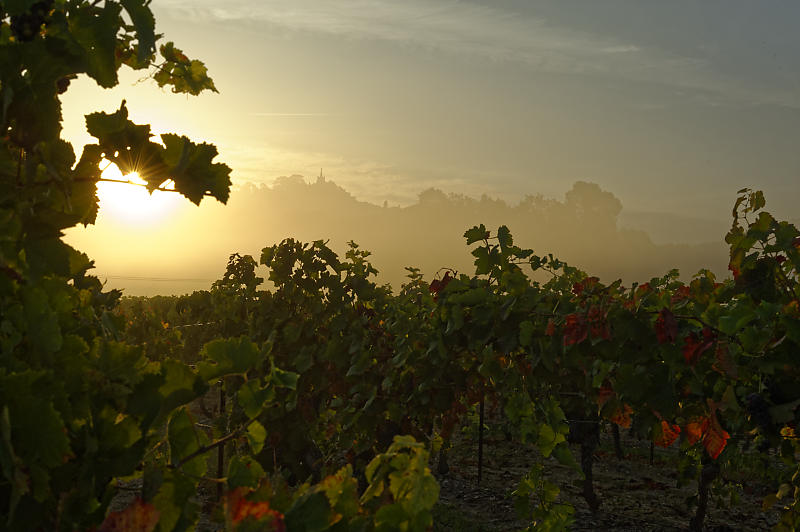 Nebel am frühen Morgen bei Bonnieux