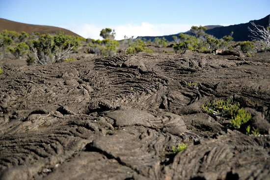 Lava Lava