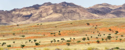 Namibia 2011