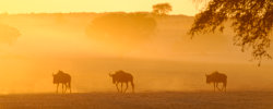 Namibia 2012