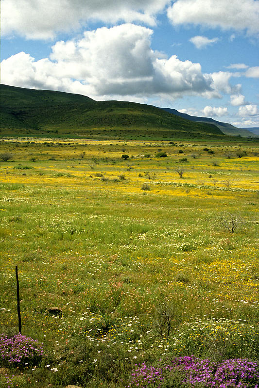 Biedouw-Valley Biedouw-Valley