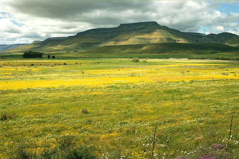 Biedouw-Valley Biedouw-Valley