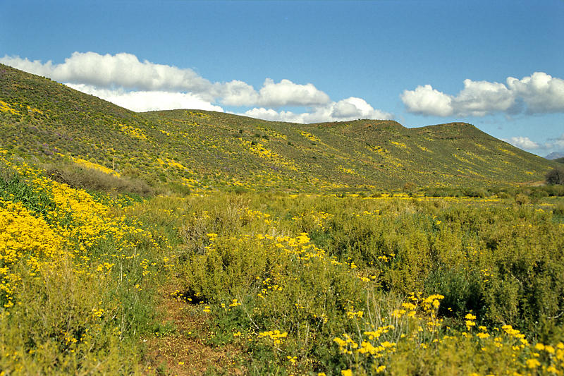 Matjiesrivier Matjiesrivier
